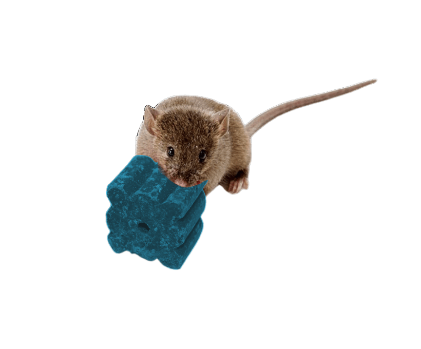 cebo-roedores-contrac-blox