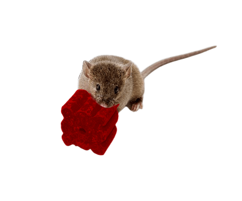 cebo-roedores-final block